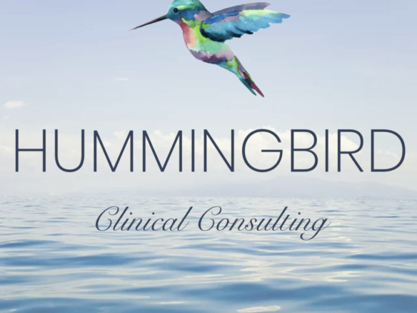 hummingbird clinical consulting